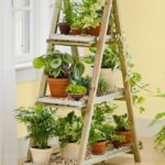 houseplant-benefits