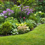 Garden and flowers