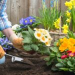 Special-days-for-flowers