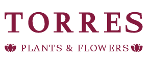 Torres' Plants and Flowers