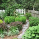 shade-loving-plants