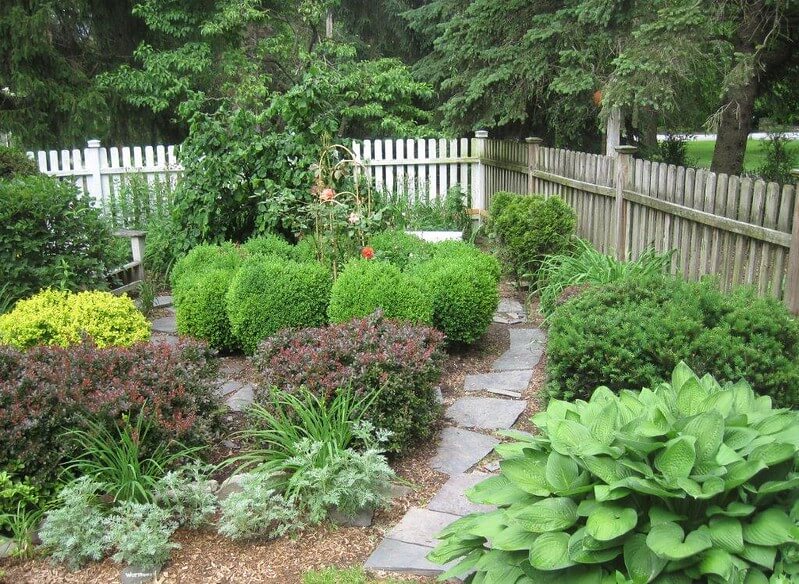 shade-loving-plants
